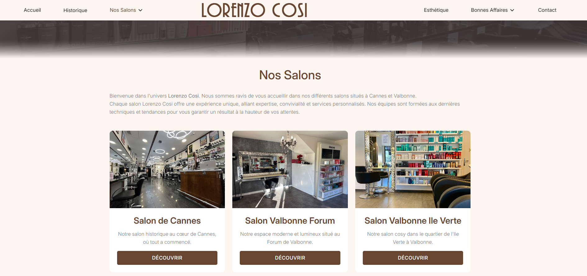 Site Web https://www.lorenzo-cosi.com/